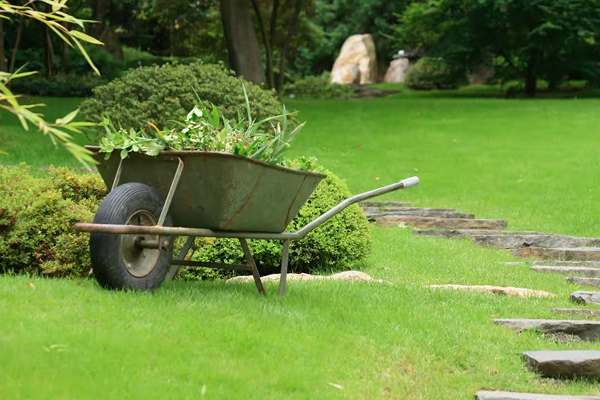 Enlèvement de l'herbe à Casablanca