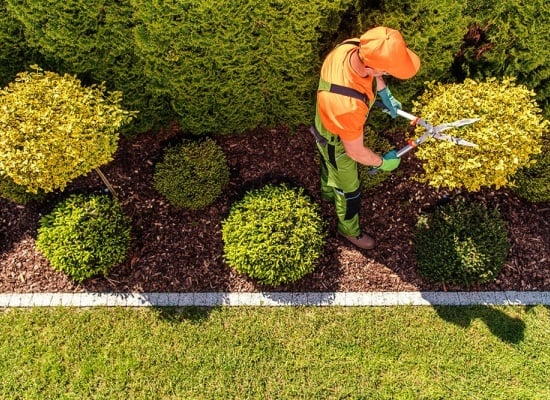 Jardinier à Casablanca