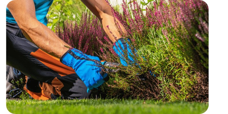 Prix jardinier Casablanca