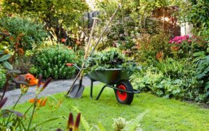 Combien coûte l’entretien d’un jardin à Casablanca ? Guide des prix et devis types