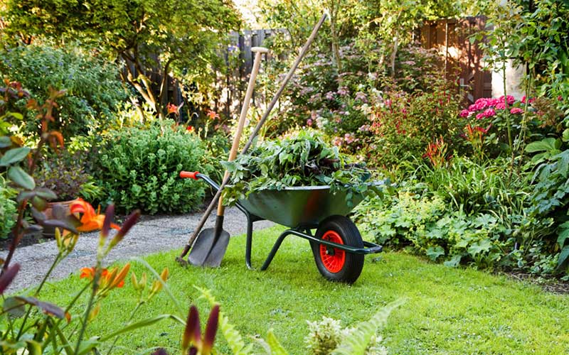 Combien coûte l'entretien d'un jardin à Casablanca Guide des prix et devis types