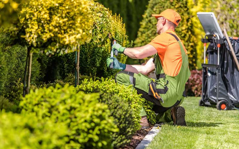 Entretien Jardin Casablanca Tarifs et Services d'un Jardinier Professionnel