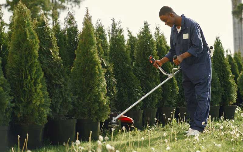 Top 5 des critères pour choisir la meilleure société de jardinage à Casablanca en 2025