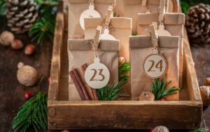 Calendrier de Jardinage Casablanca : Quand Planter vos Légumes et Fleurs au Maroc ?