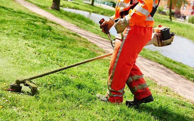 خدمات صيانة الحدائق في الدار البيضاء