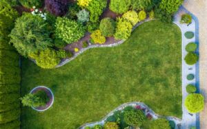 شركة صيانة مساحات خضراء في الدار البيضاء