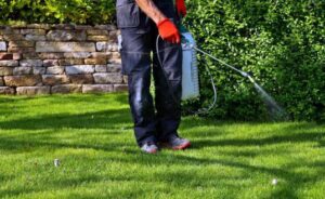 مكافحة الآفات في حدائق الدار البيضاء