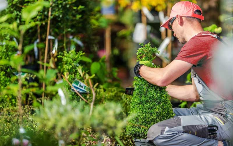 Jardinier à domicile à Casablanca