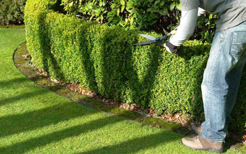 Prix Paysagiste à Casablanca