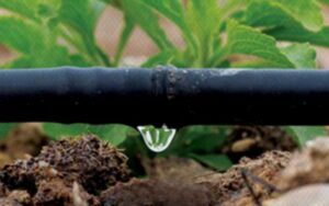 Goutte-à-goutte connecté à Casablanca