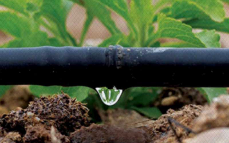 Goutte-à-goutte connecté à Casablanca