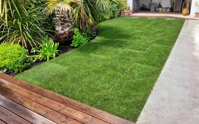 Installation gazon en plaque à Casablanca